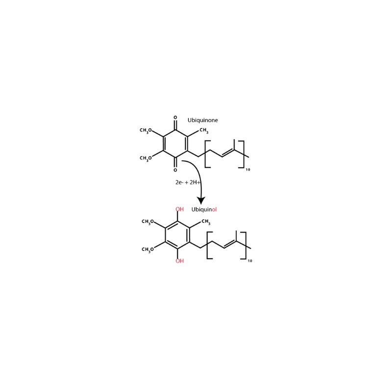 Ubiquinol versus ubiquinone