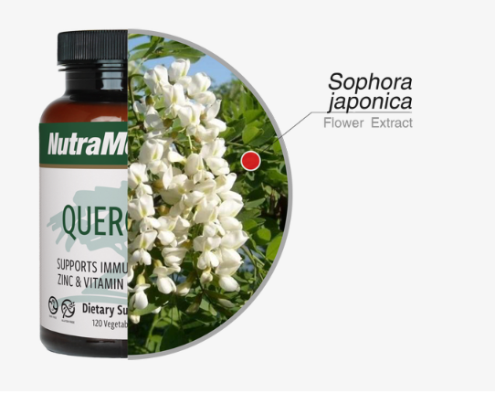 [i]* Batiha GE et al. The pharmacological activity, biochemical properties, and pharmacokinetics of the major natural polyphenolic flavonoid: quercetin. Foods. 2020;23;9(3):374.[/i]