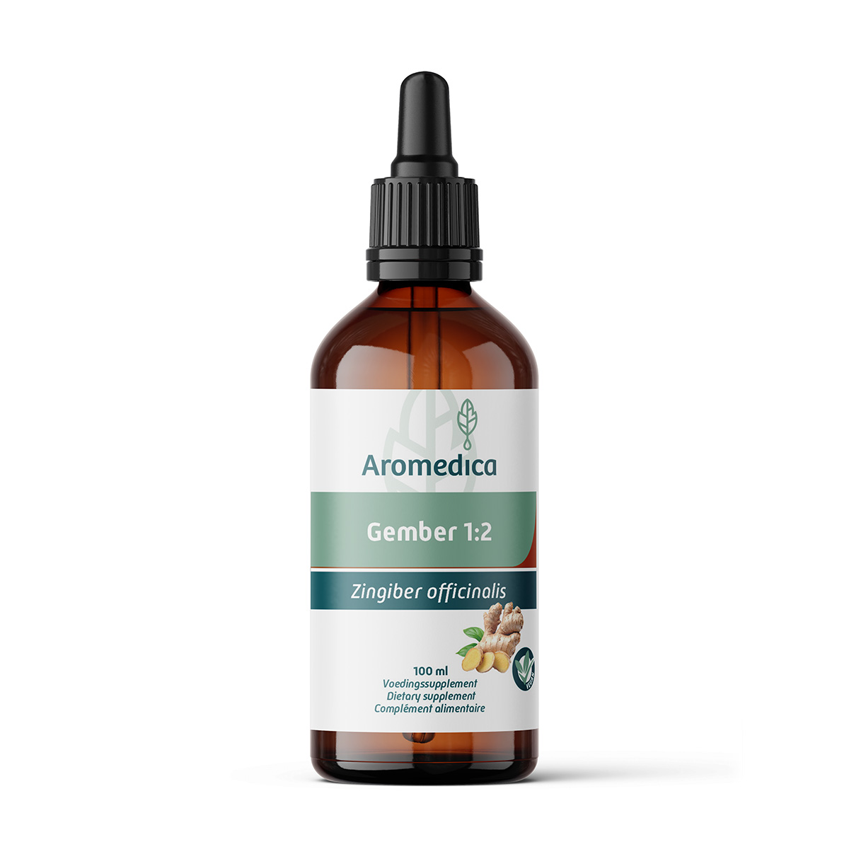 Gember 1:2 - Zingiber officinalis