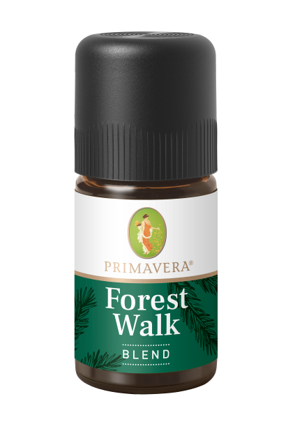 Forest Walk